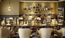 国产精品免费人成网站酒店,免费人成网站酒店，揭秘隐秘的娱乐世界